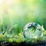 glass globe amidst plants